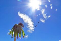 06-17 - leicht und luftig 